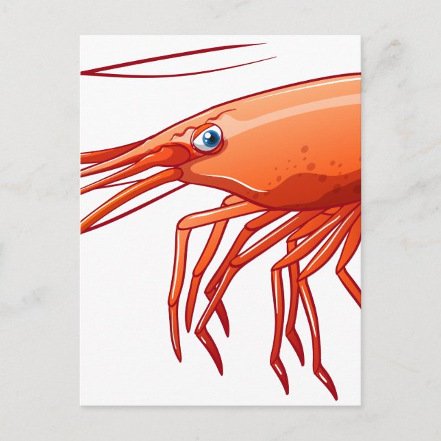 Räka Vykort (Framsida)