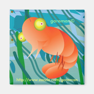 räkamagnet magnet
