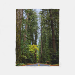 Rakare väg framåt genom Misty Redwood Forest-S Fleecefilt
