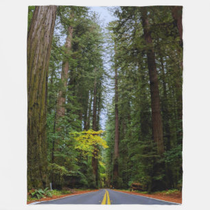 Rakare väg framåt genom Misty Redwood Forest-S Fleecefilt