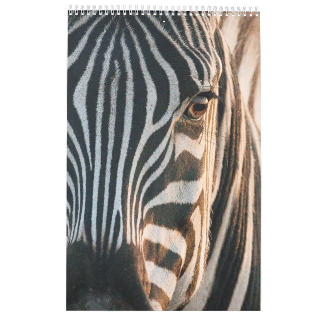 Räkenskaper i Afrikans Vild Kingdom, 2024 Calendar Kalender (Baksida)