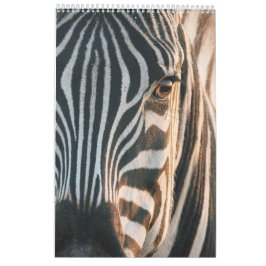 Räkenskaper i Afrikans Vild Kingdom, 2024 Calendar Kalender