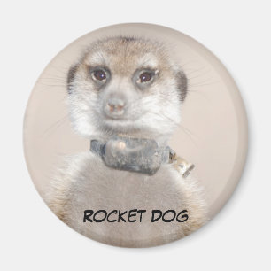 Rakethundmagnet Magnet