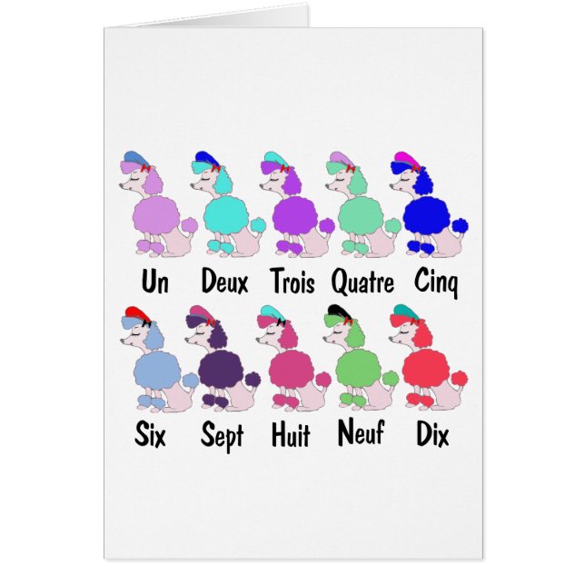 Räkna den franska pudeln hälsningskort (Framsidan)