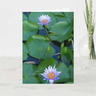 Räkna dina välsignelser kort