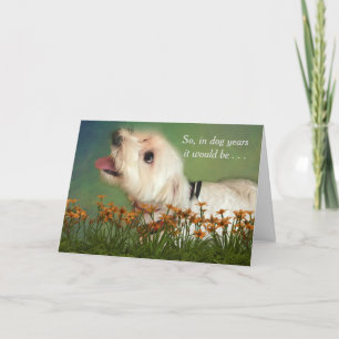 Räkna i hundårsfödelsedag kort