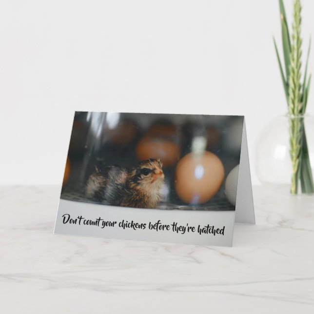 Räkna inte med dina kycklingar innan de blir krydd kort (Framsida)