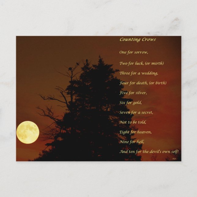 Räkna kråkor vykort (Framsida)