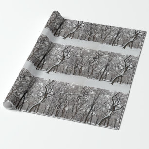 Räknare i snö i centrala parken NYC Presentpapper