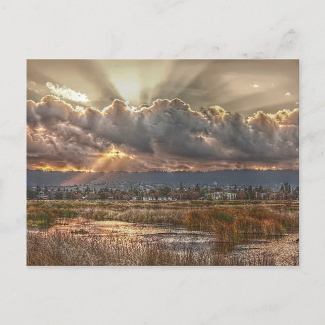 Räknat i bokat vykort (Framsida)