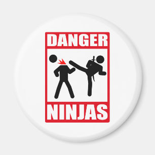 Räkning för Ninja akademiOkinawa döda Magnet
