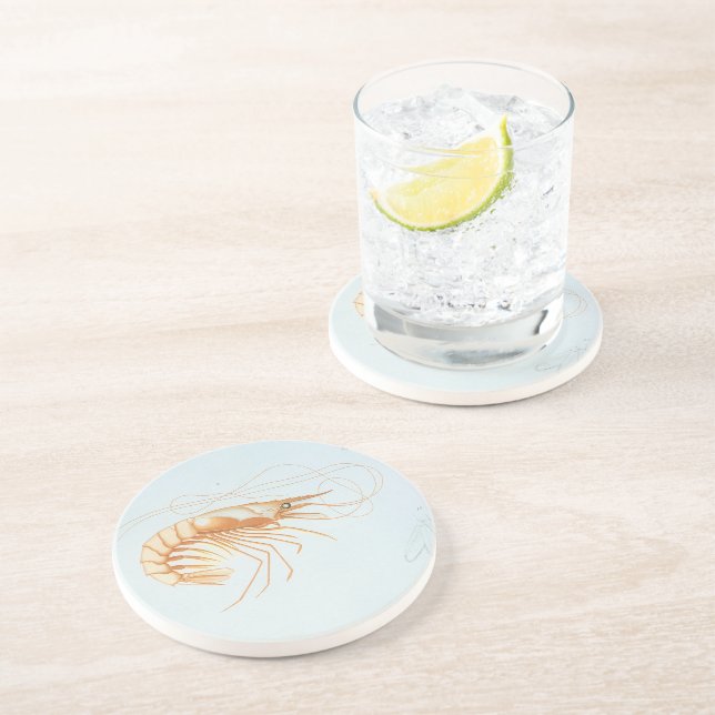 Räkor eller kräftor, gammaldags marint liv havsdju underlägg sandsten (Sidan)