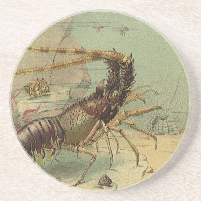 Räkor, Undervattensliv, Vintage Havsdjur Underlägg Sandsten (Framsidan)