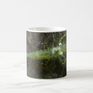 Räkor Vitkaffe Mugg