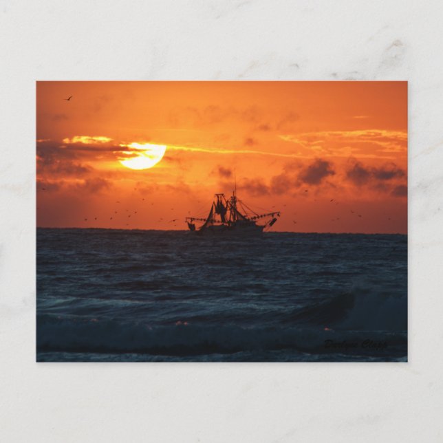 Räkor Vykort (Framsida)