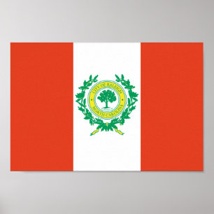 Raleigh North Carolina flagga Poster