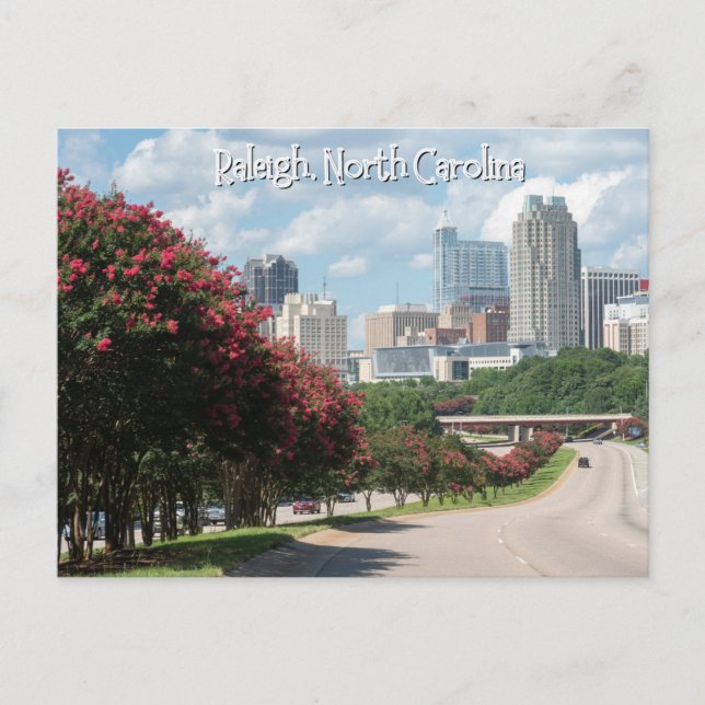 Raleigh, North Carolina Postcard Vykort (Framsida)