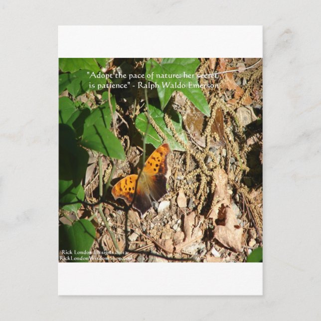 Ralph W Emerson "Pace of Nature" Wisdom Quote Gift Vykort (Framsida)