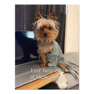 Ralphie Tekopps-Yorkie En Av De Där Dagarna Fototryck