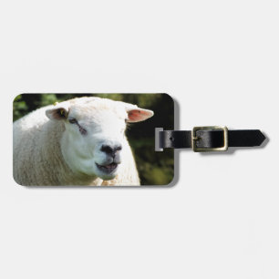 RAM BAGAGEBRICKA