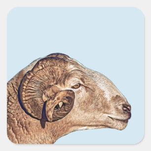 Ram Får Ansikte Farm Djurart Naturliv Art. Fyrkantigt Klistermärke