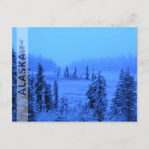 Ram för ditt Alaskavakansfoto Vykort