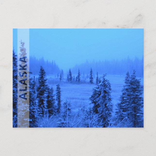 Ram för ditt Alaskavakansfoto Vykort (Framsida)