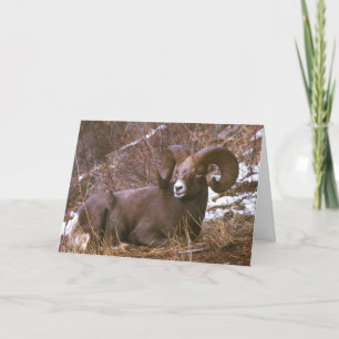 Ram god jul-kort helgkort