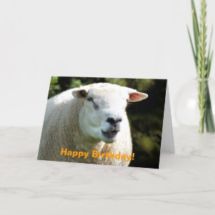 RAM KORT