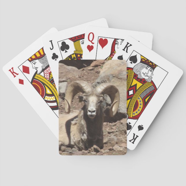 Ram-kort Casinokort (Baksidan)