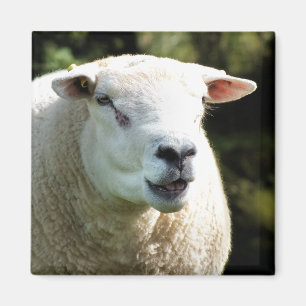 RAM MAGNET