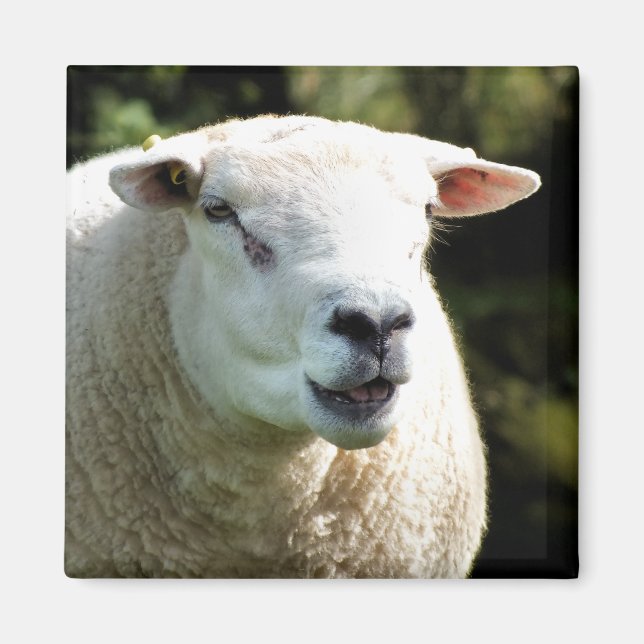 RAM MAGNET (Framsidan)