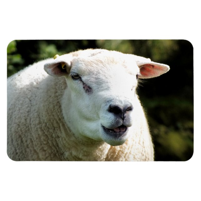 RAM MAGNET (Horisontell)