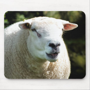RAM MUSMATTA