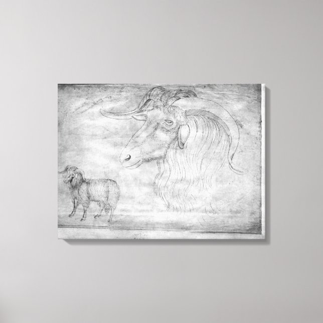 Ram och huvud av ram canvastryck (Framsida)