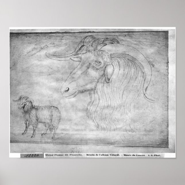 Ram och huvud av ram poster (Framsidan)