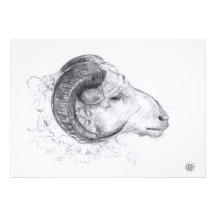 Ram - Original Teckning - Fotoutskrift