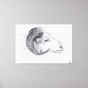 Ram - Original Teckning - Kanvastrycket Canvastryck