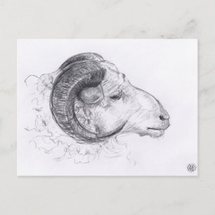 Ram Original Teckning vykort