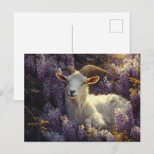 Ram Sleeping in Wisteria Flowers Vykort (Fram/baksida)