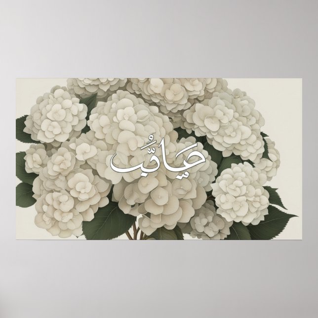 Ram TV Islamic Poster (Framsidan)