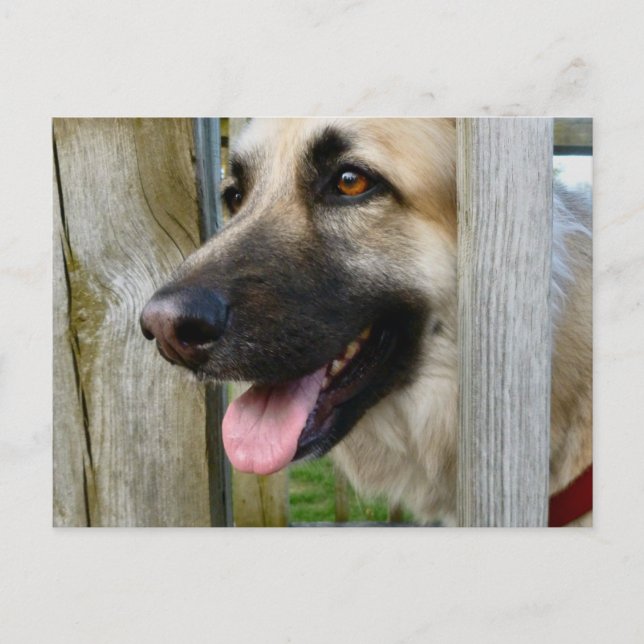 Ramad Vykort (Framsida)