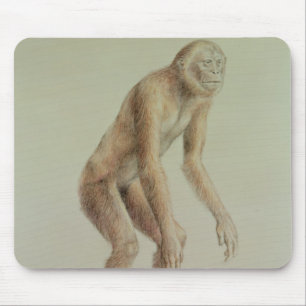 Ramapithecus Musmatta