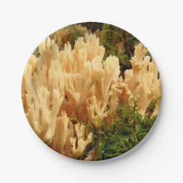 Ramaria strita Fungi Pappra Tallrikar