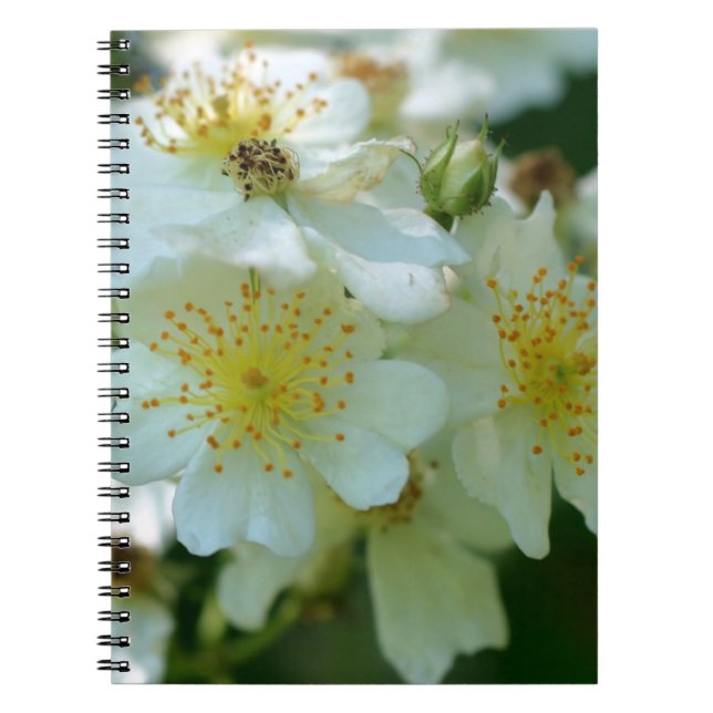 Rambling Ro Flower Nature Notebook Anteckningsbok Med Spiral (Framsidan)