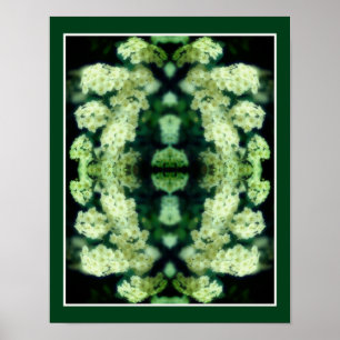 Rambling Vild Vit ros Spegel Abstrakt Poster