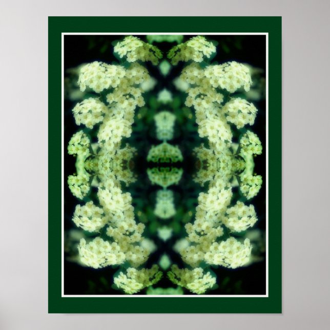 Rambling Vild Vit ros Spegel Abstrakt Poster (Framsidan)