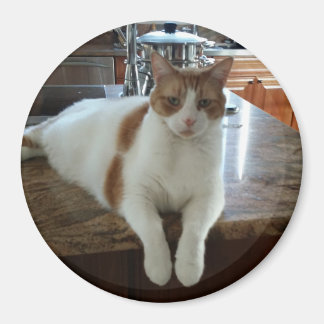 Rambo - Orange Kattunge Magnet