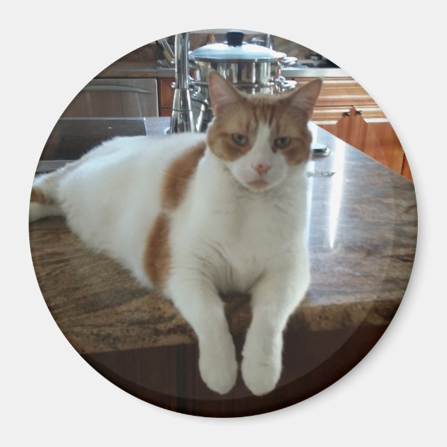 Rambo - Orange Kattunge Magnet (Framsidan)