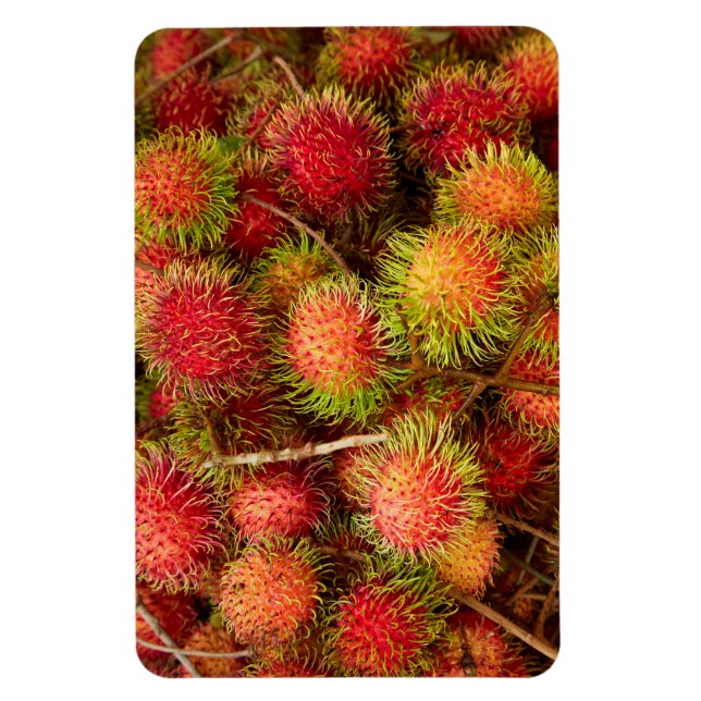 Rambutan Fruit på Can Duoc Market Magnet (Vertikal)